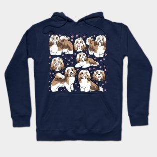 Cute Havanese Dog illustration Hoodie